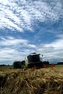 combine harvesters